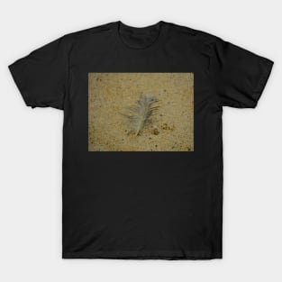 Feather in the sand T-Shirt